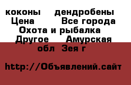 коконы    дендробены › Цена ­ 25 - Все города Охота и рыбалка » Другое   . Амурская обл.,Зея г.